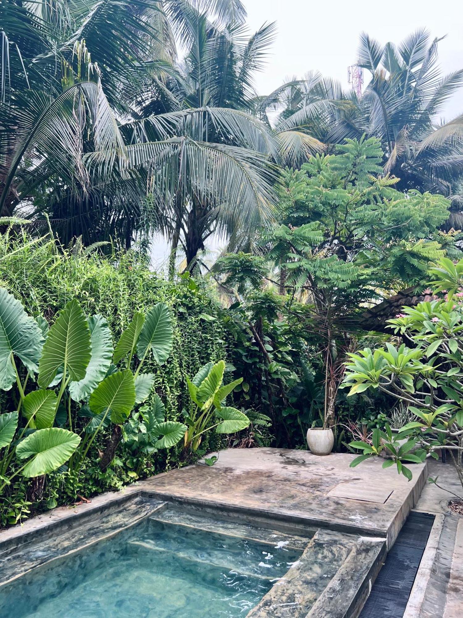 Dreamtime Hotel Hikkaduwa Exterior photo