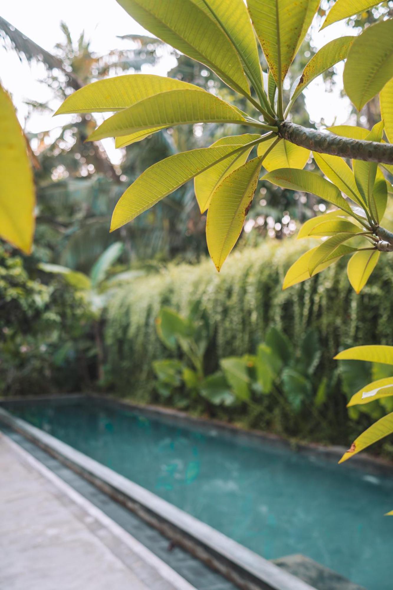 Dreamtime Hotel Hikkaduwa Exterior photo