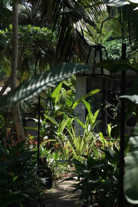 Dreamtime Hotel Hikkaduwa Exterior photo