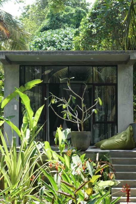 Dreamtime Hotel Hikkaduwa Exterior photo