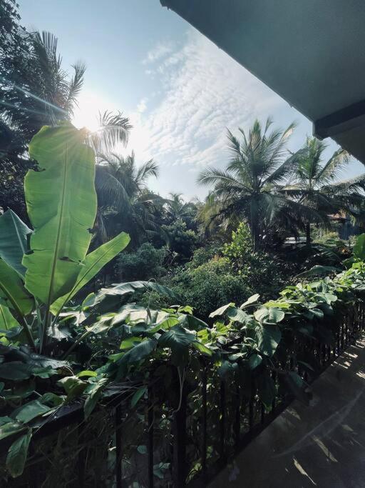 Dreamtime Hotel Hikkaduwa Exterior photo